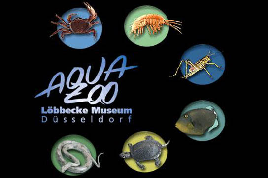 Frühstückstreff Düsseldorf besucht den Aquazoo